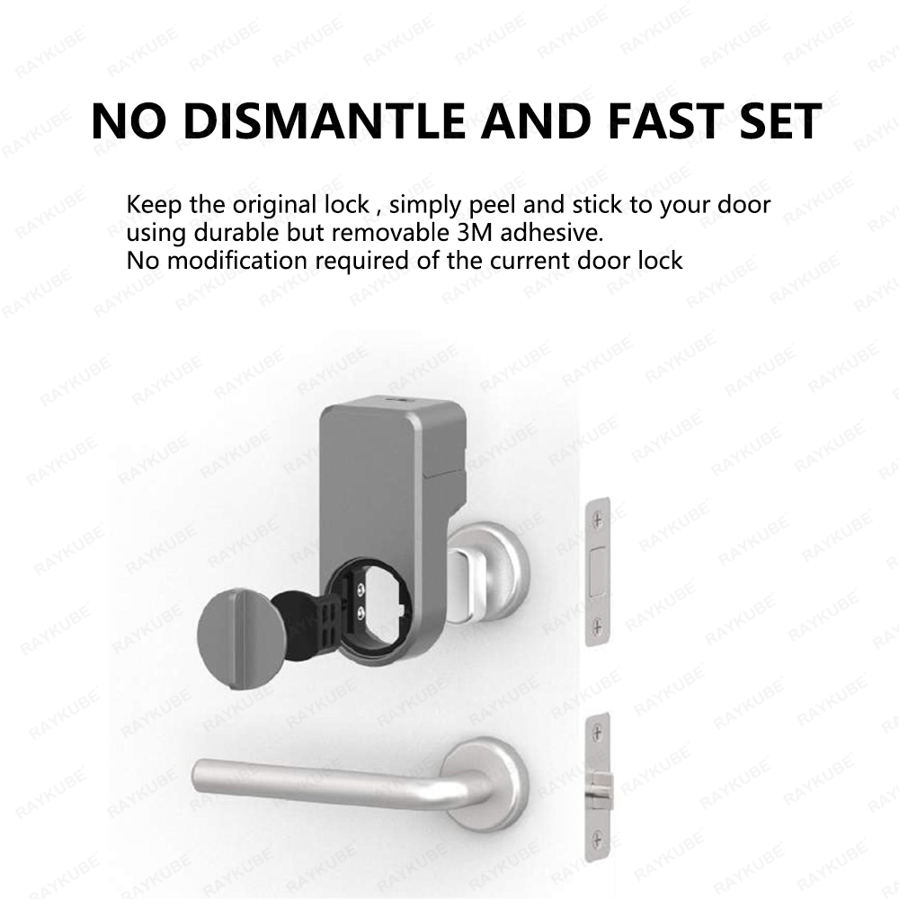 RAYKUBE A1 Pro Tuya BEL juego  - Door Lock Smart Keypad reseña y precio