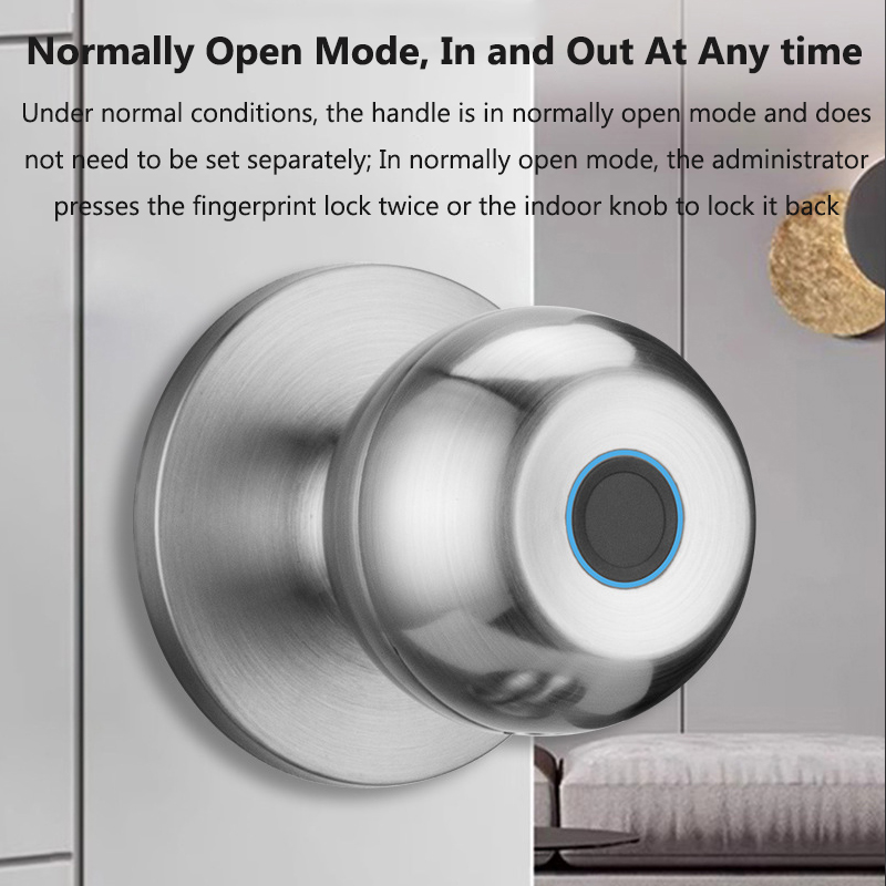 Cerradura de puerta Tuya, llav - Door Lock Smart Keypad reseña y precio