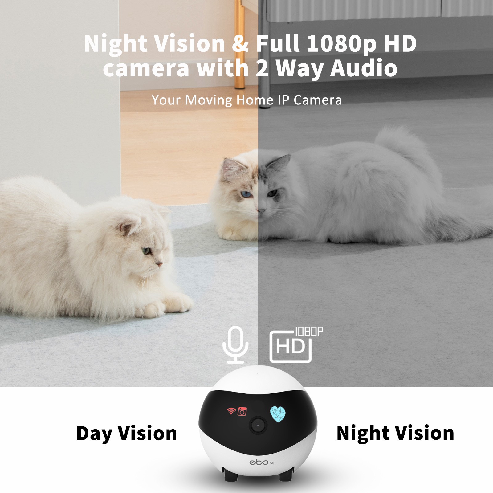 EBO SE Smart Home Robot Compan - Home Security Robots reseña y precio