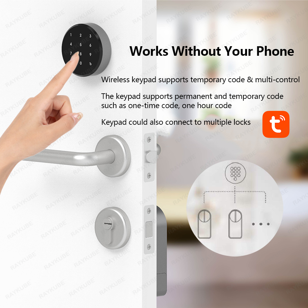 RAYKUBE A1 Pro Tuya BEL juego  - Door Lock Smart Keypad reseña y precio