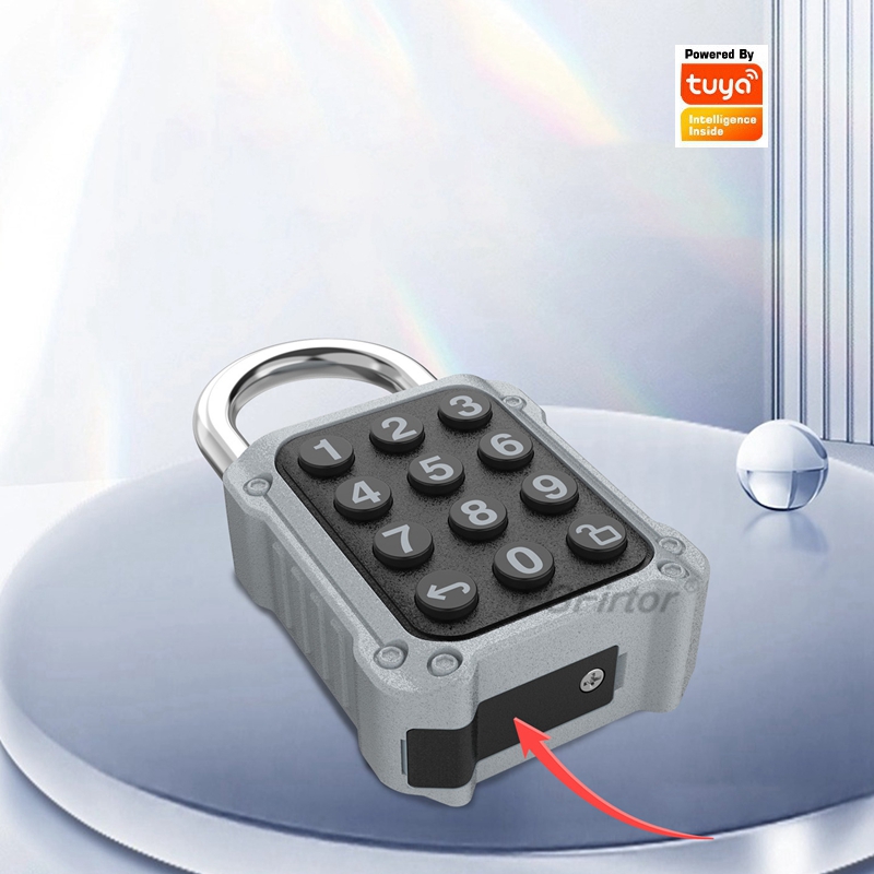 Cerradura Electrónica Intelige - Door Lock Smart Keypad reseña y precio